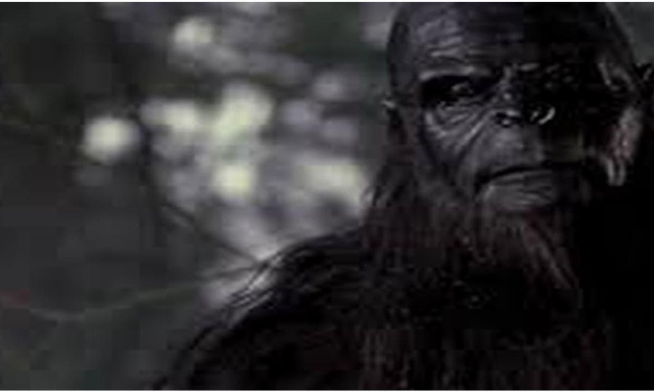 Sasquatch Where To Watch And Stream Online Entertainment ie Sasquatch Where To Watch And Stream Online Entertainment ie