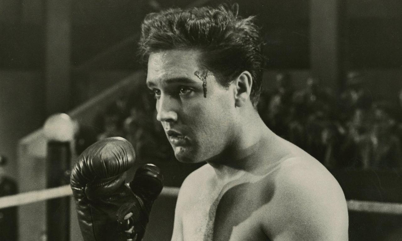 header image for Kid Galahad