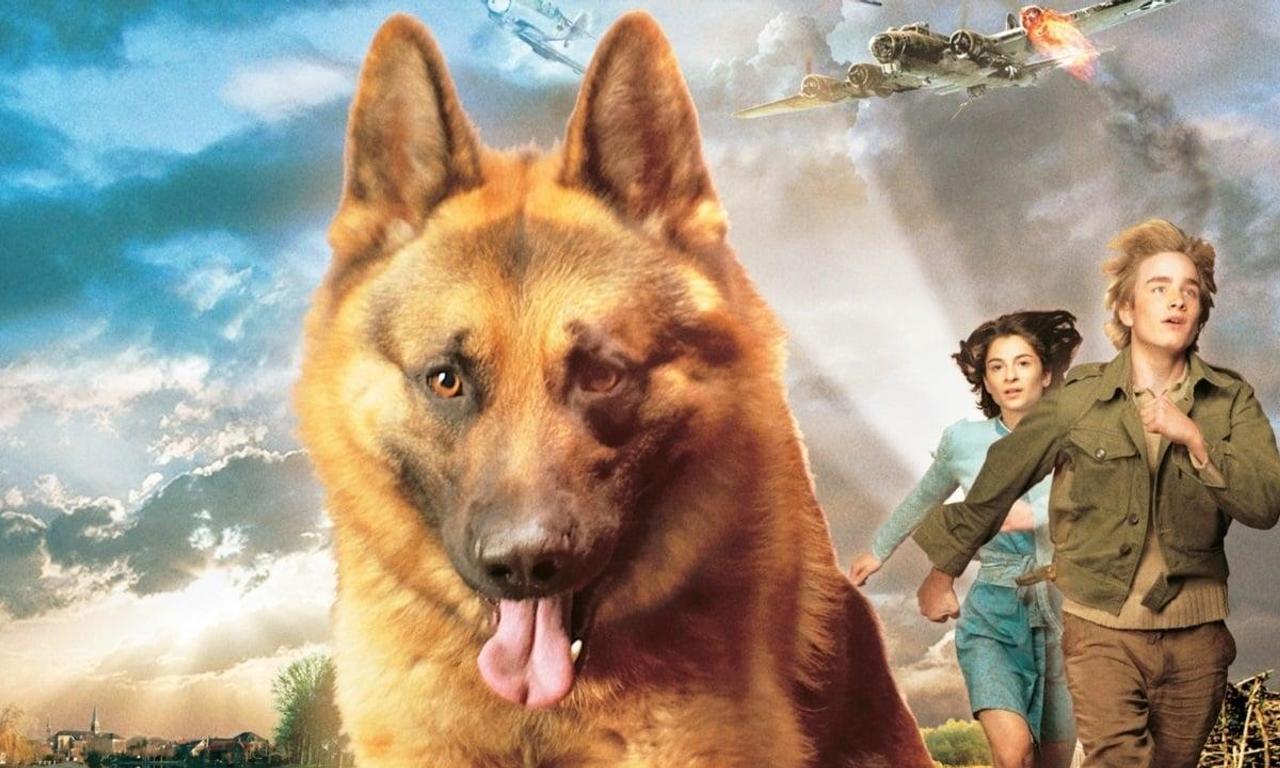 Snuf de Hond in Oorlogstijd - Where to Watch and Stream Online