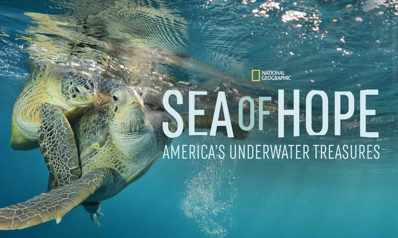 header image for Sea of Hope: America's Underwater Treasures