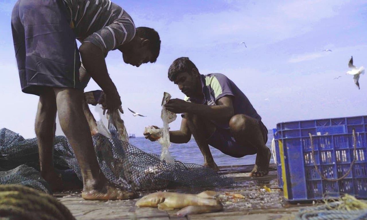 header image for Against The Tide