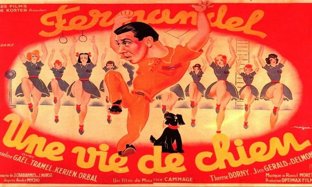 A Dog's Life Where to Watch and Stream Online Entertainment.ie