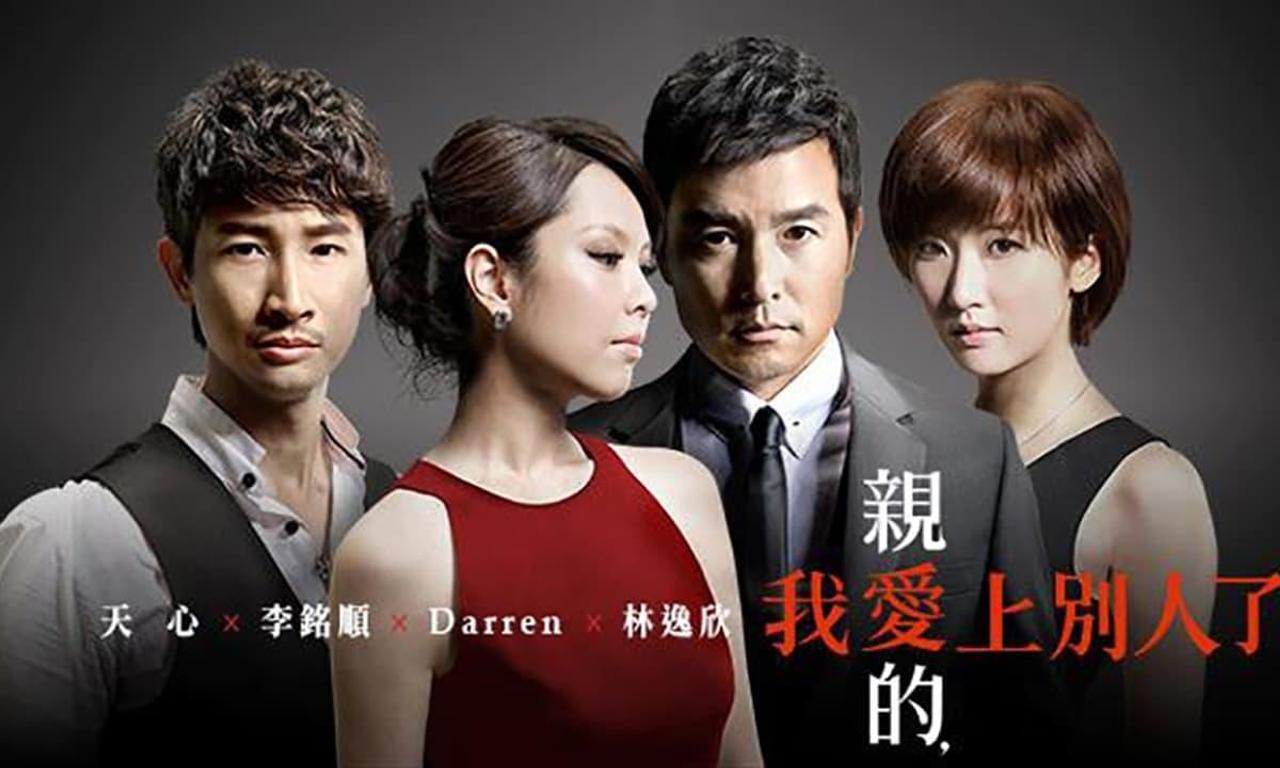 header image for A Good Wife