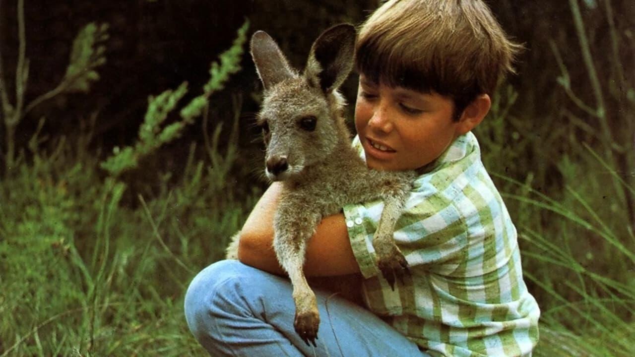 Skippy The Bush Kangaroo - Where To Watch And Stream Online ...