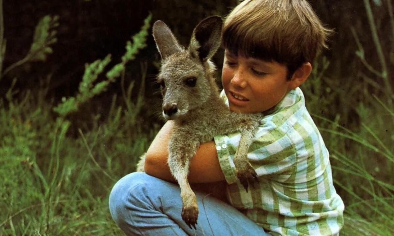 header image for Skippy the Bush Kangaroo