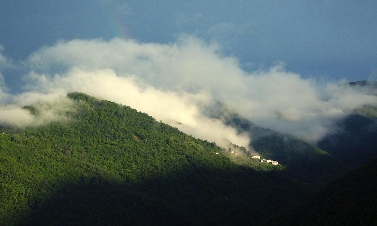 header image for ciao Aracà