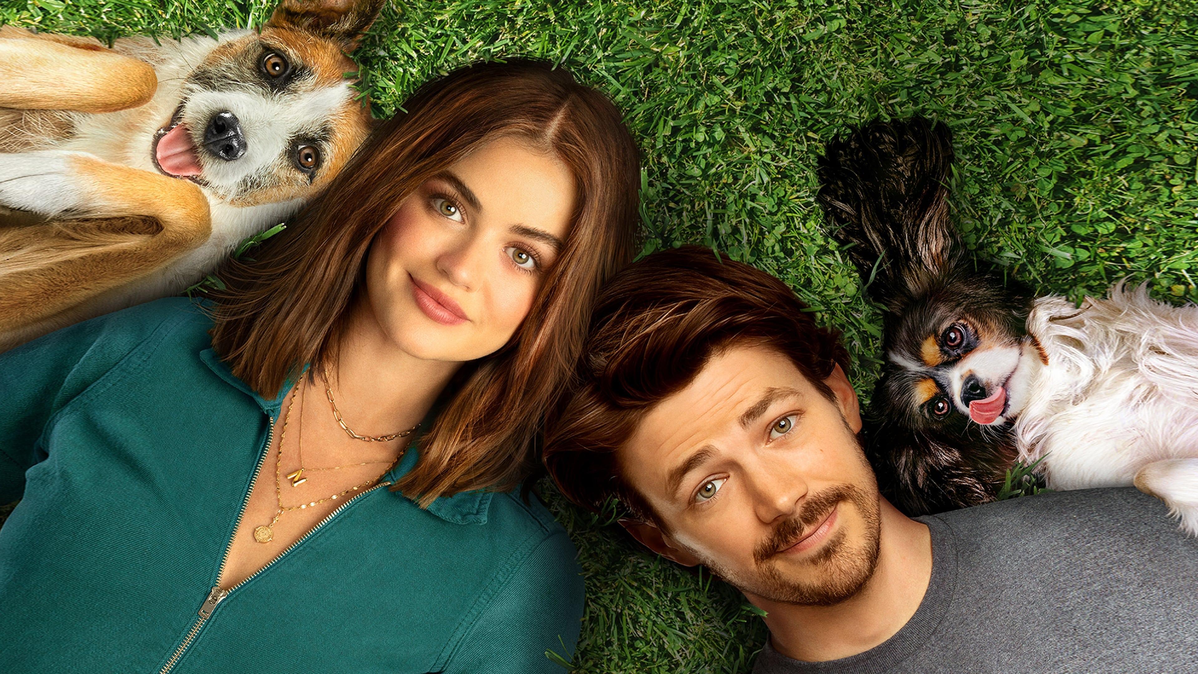 A dog's way home online full movie watch online