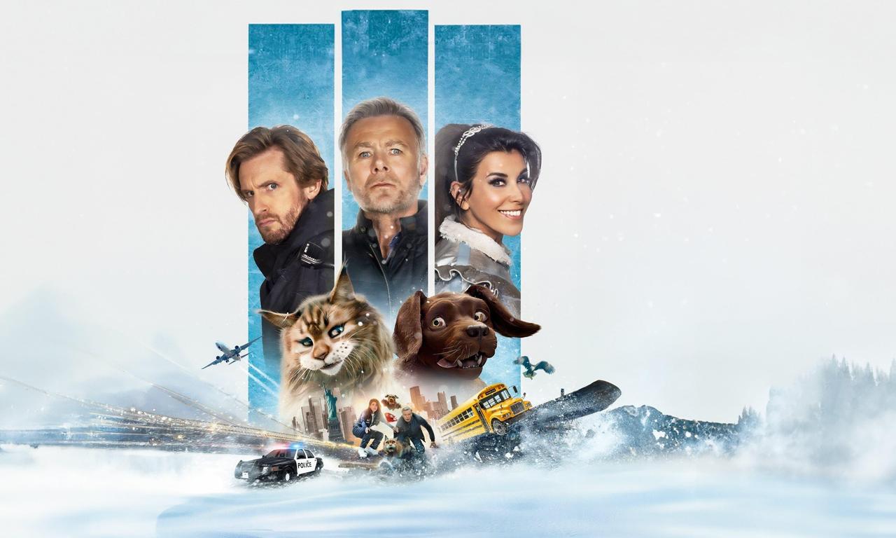 header image for Cat and Dog