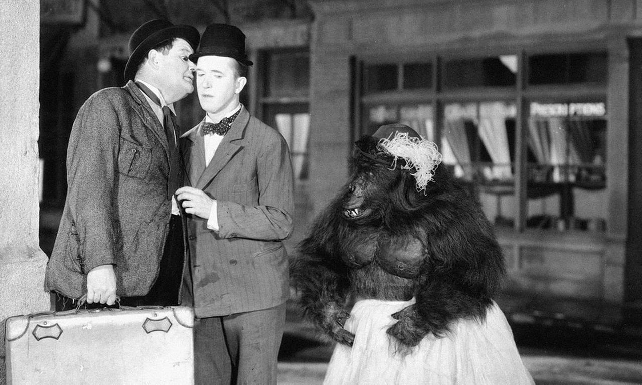 The Chimp Where to Watch and Stream Online Entertainment.ie