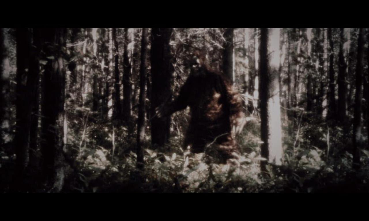 header image for Secrets of the Sasquatch
