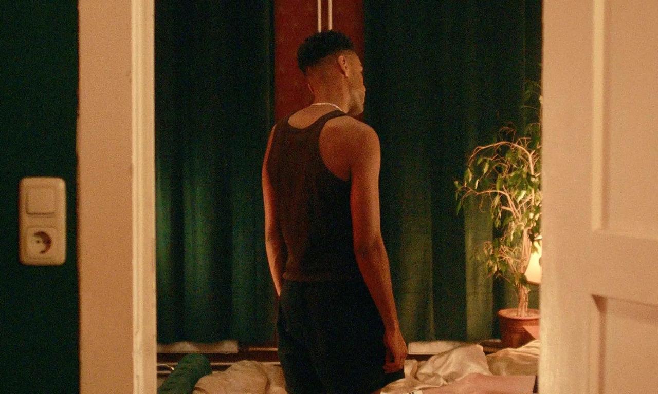 header image for Dogfriend