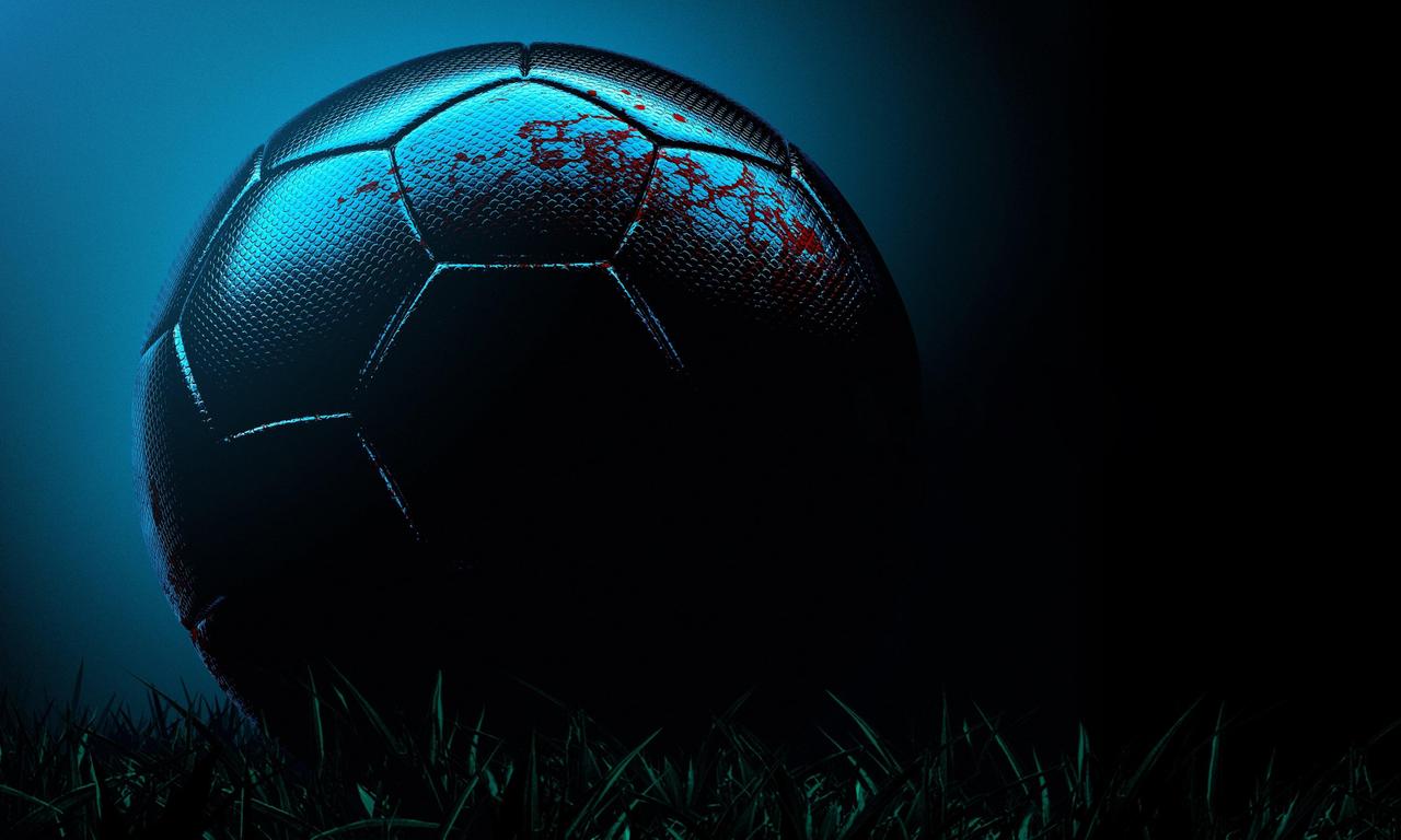 header image for The Window