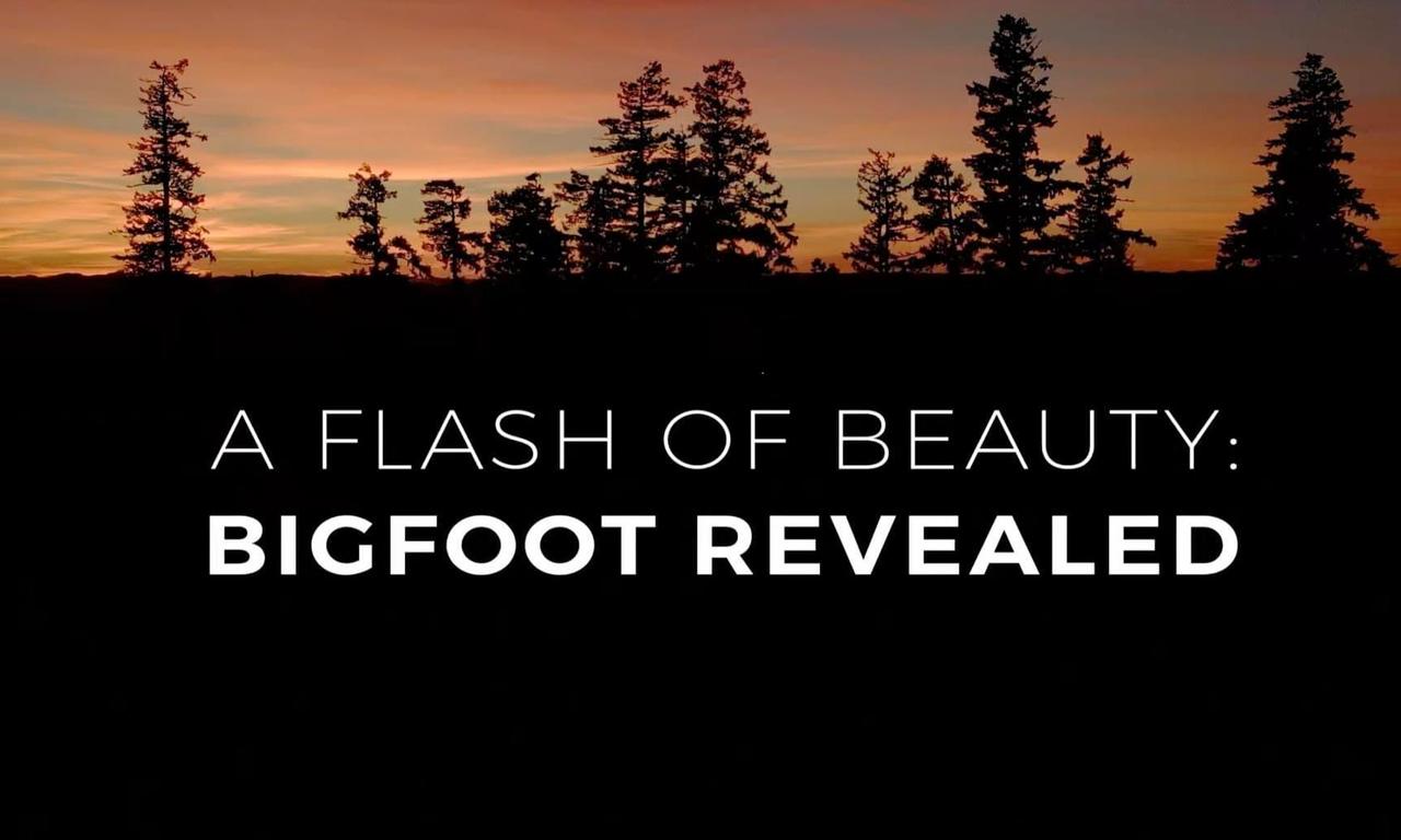 header image for A Flash of Beauty: Bigfoot Revealed