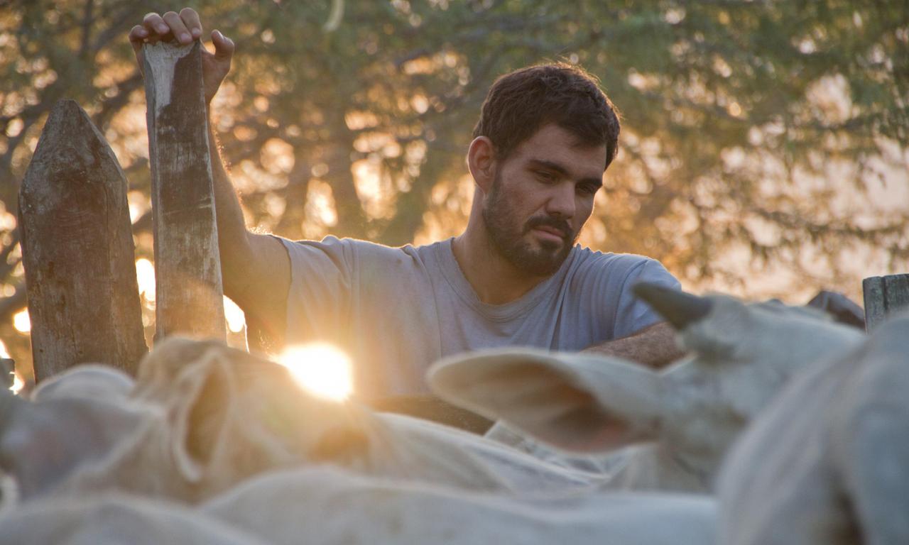 header image for Neon Bull