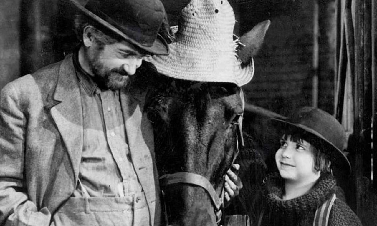 The Rag Man Where to Watch and Stream Online Entertainment.ie