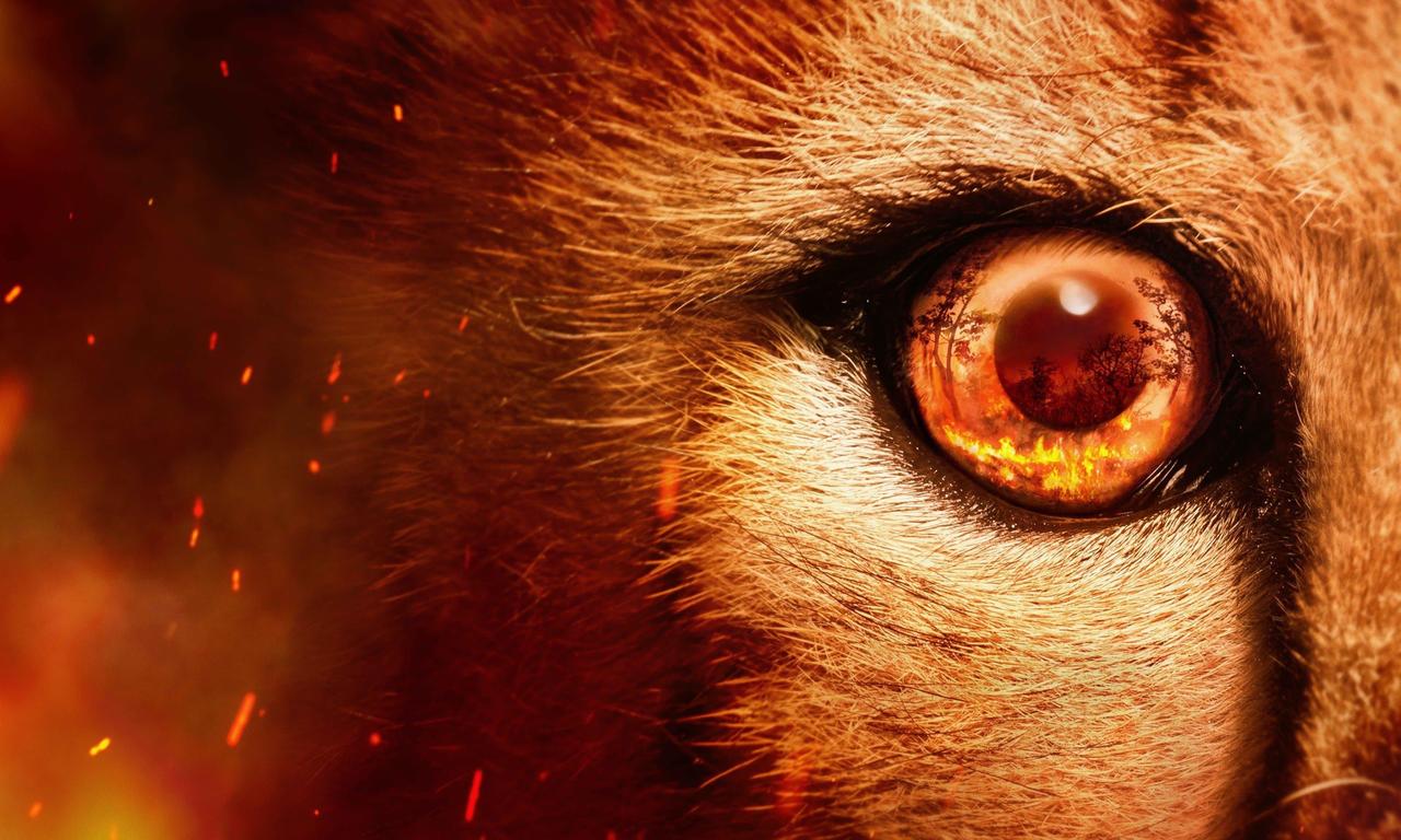 header image for Predators