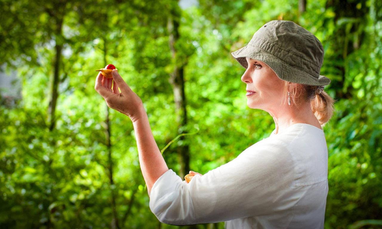 header image for Joanna Lumley's Spice Trail Adventure