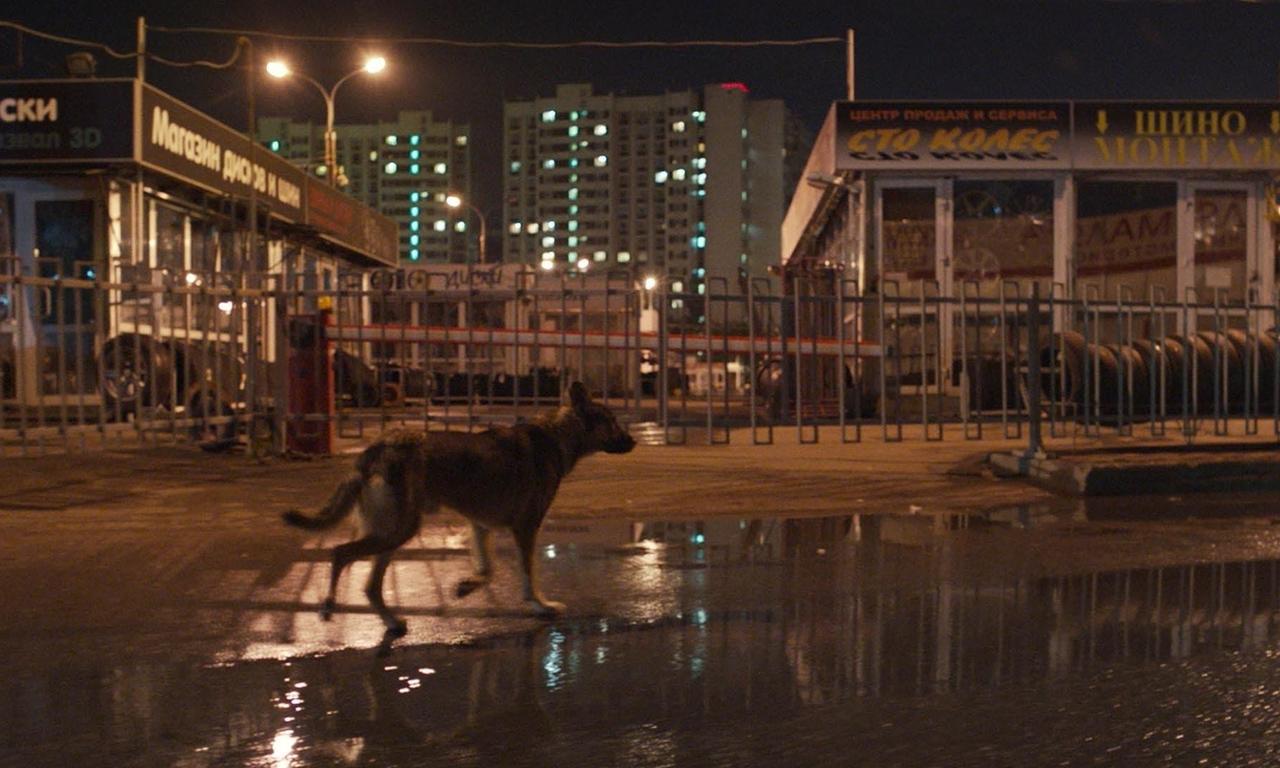 Space Dogs Where to Watch and Stream Online Entertainment.ie