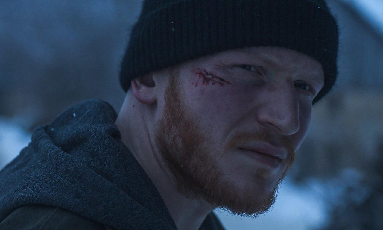 header image for Bisons