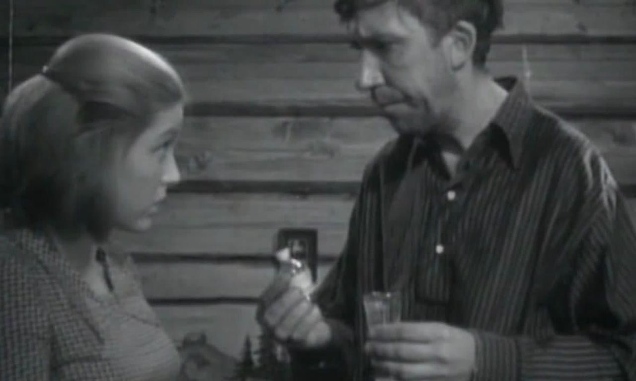 When the Trees Were Tall Where to Watch and Stream Online