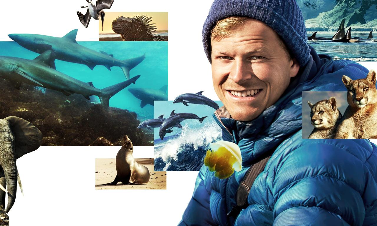 header image for Animals Up Close With Bertie Gregory