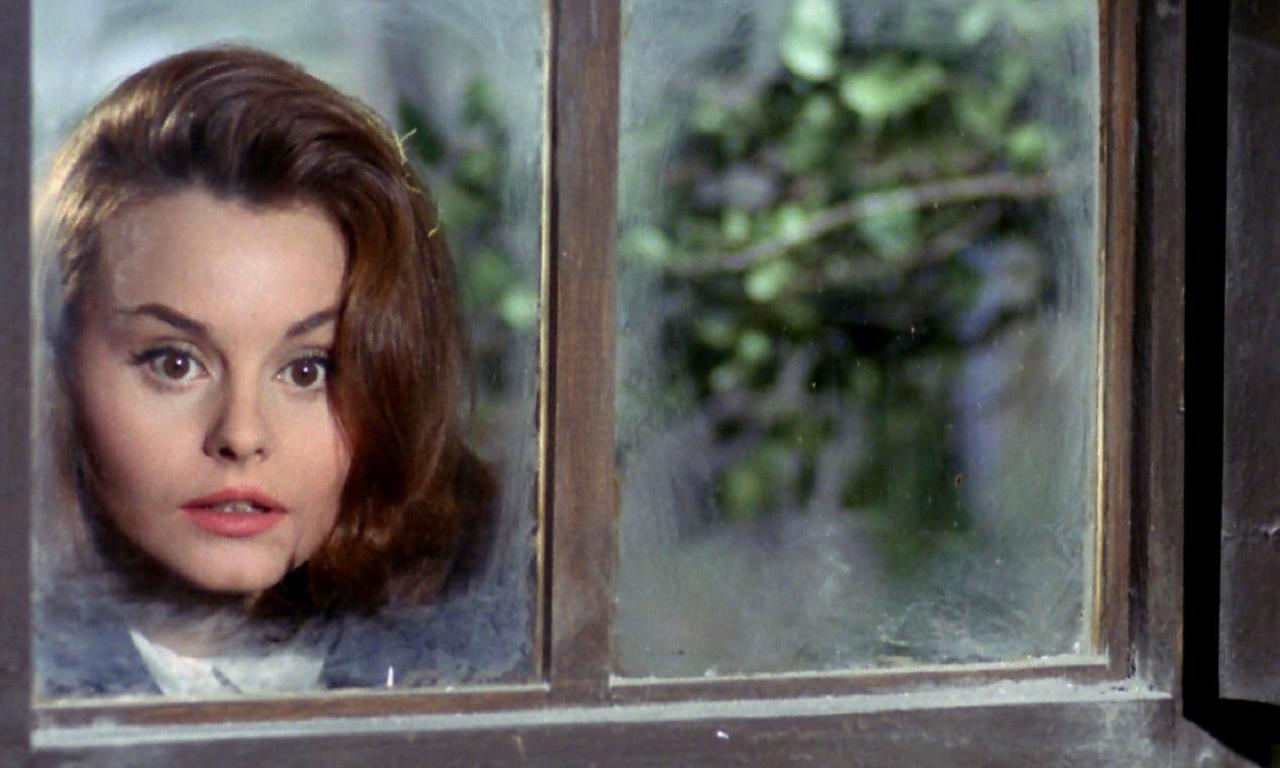 Tengo 17 años Where to Watch and Stream Online Entertainment.ie