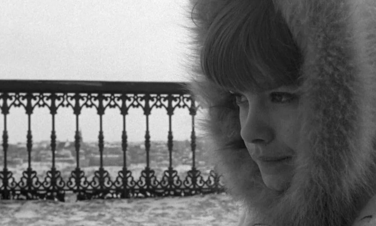 Geneviève Where to Watch and Stream Online Entertainment.ie