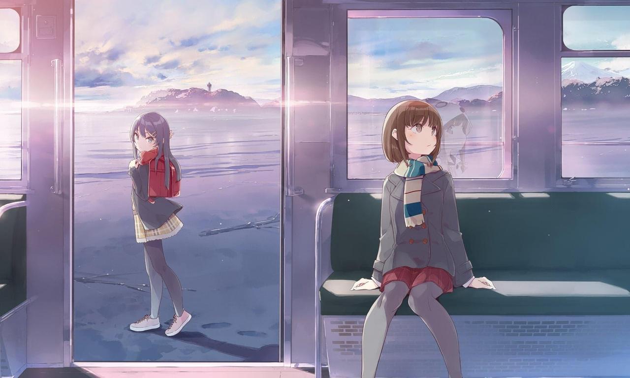 header image for Rascal Does Not Dream of a Sister Venturing Out