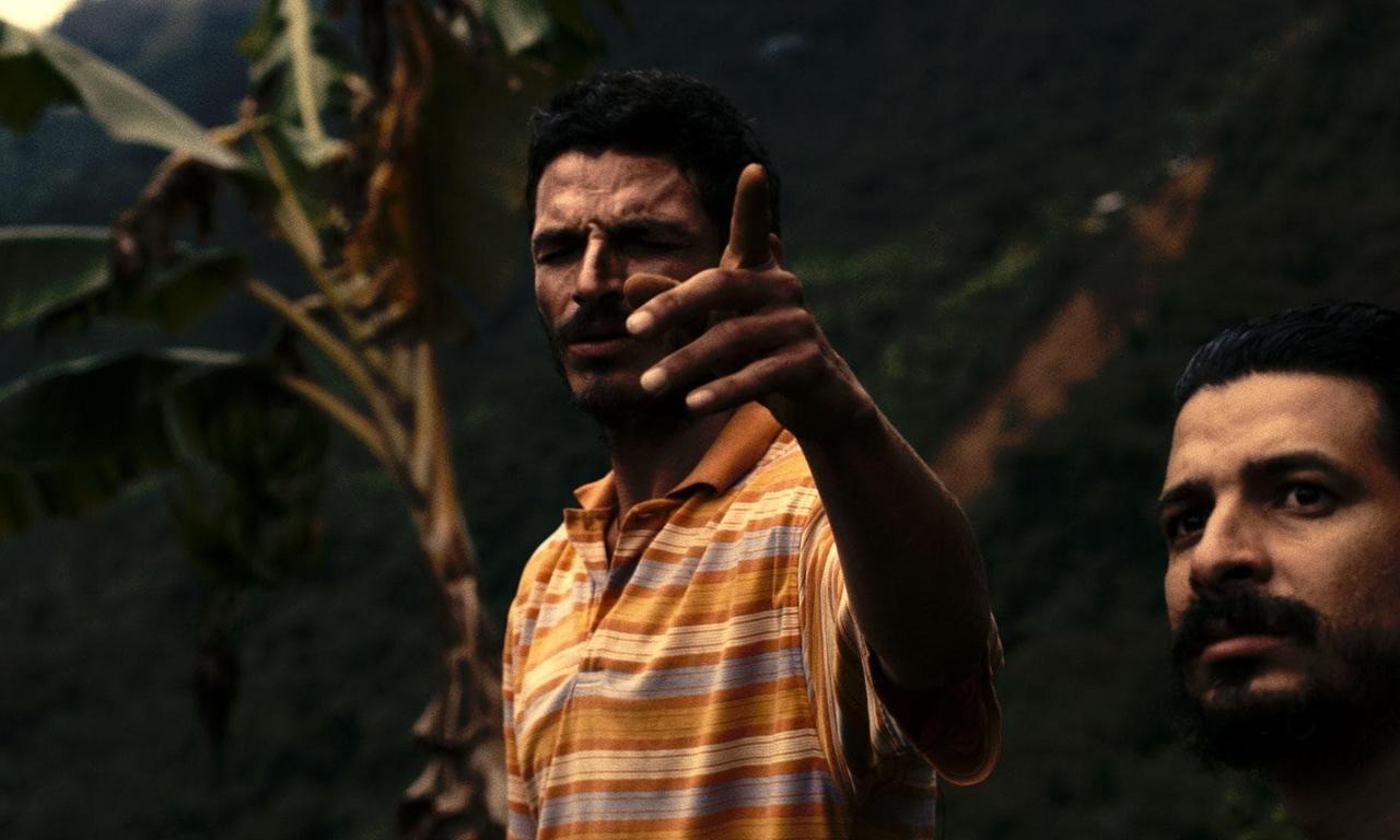 header image for Rapunzel, El Perro y El Brujo