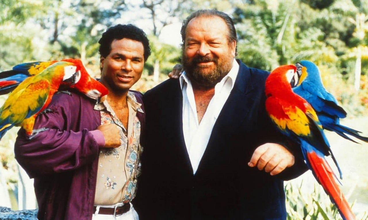 header image for Detective Extralarge