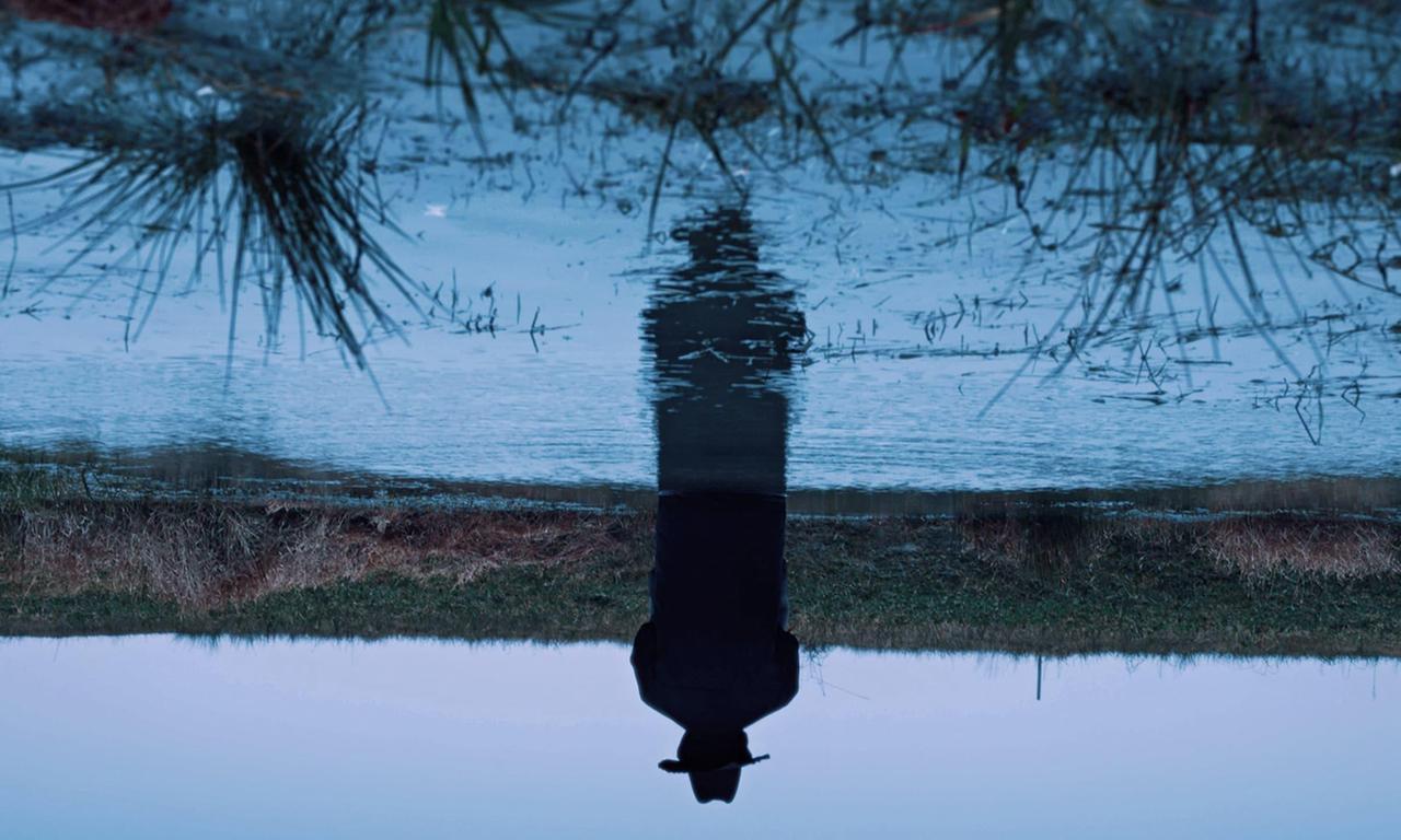 header image for A Short Story