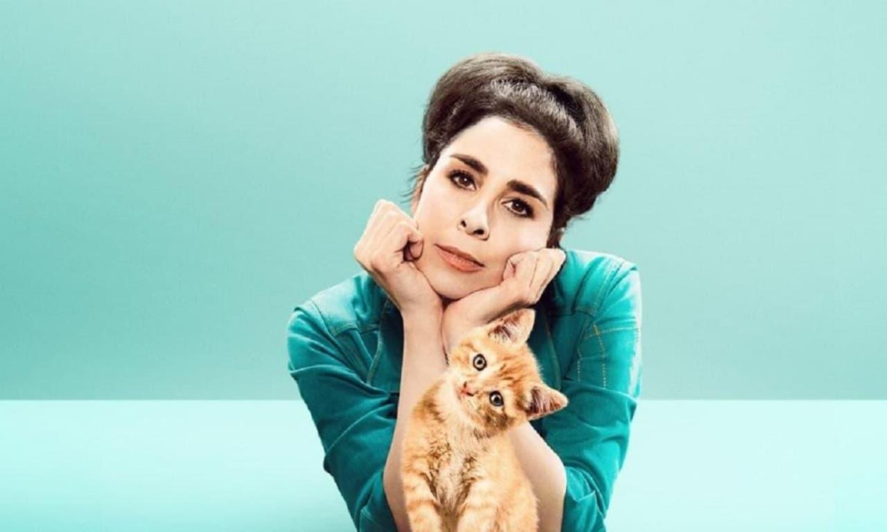 header image for Stupid Pet Tricks