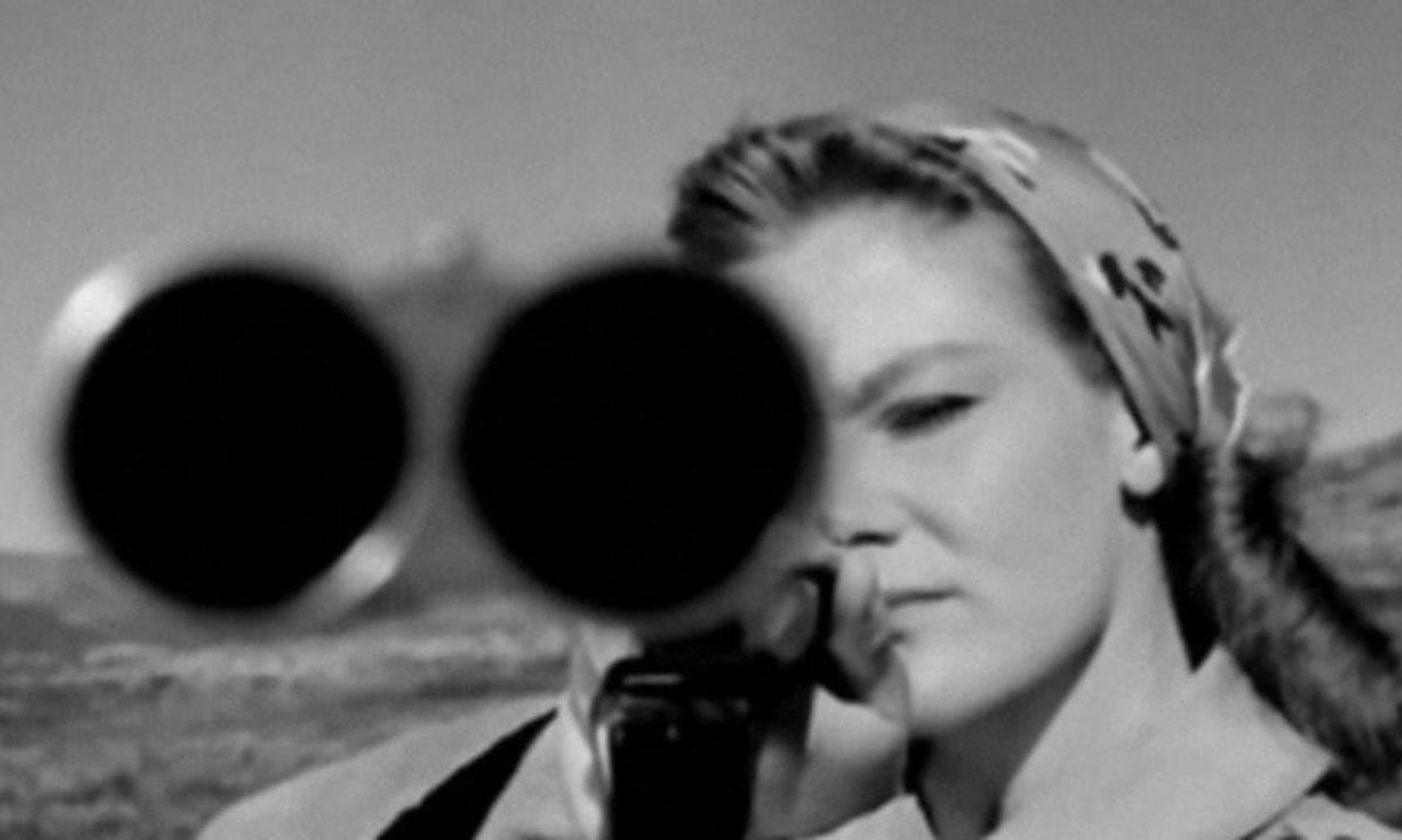 The Chasers Where to Watch and Stream Online Entertainment.ie