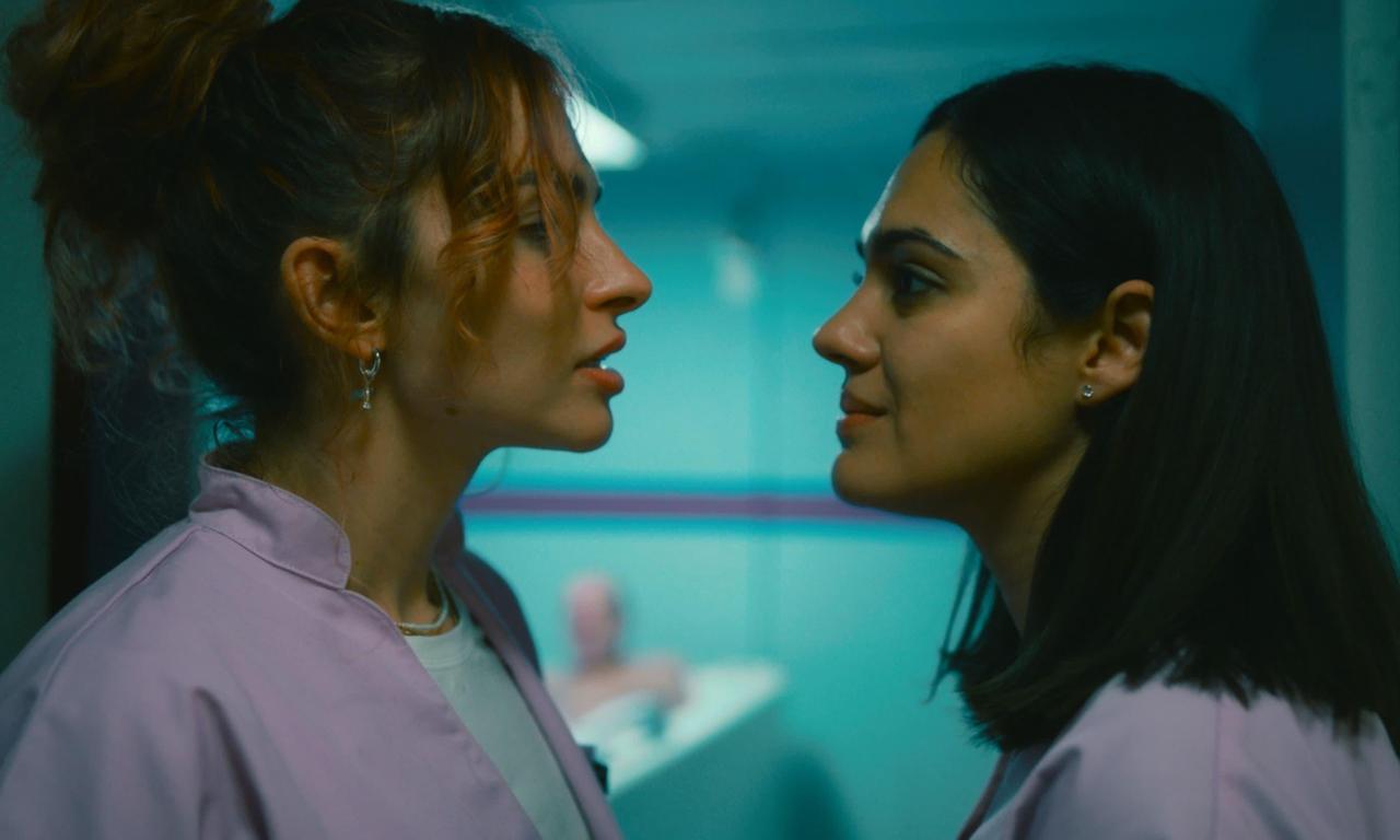 header image for Early Birds