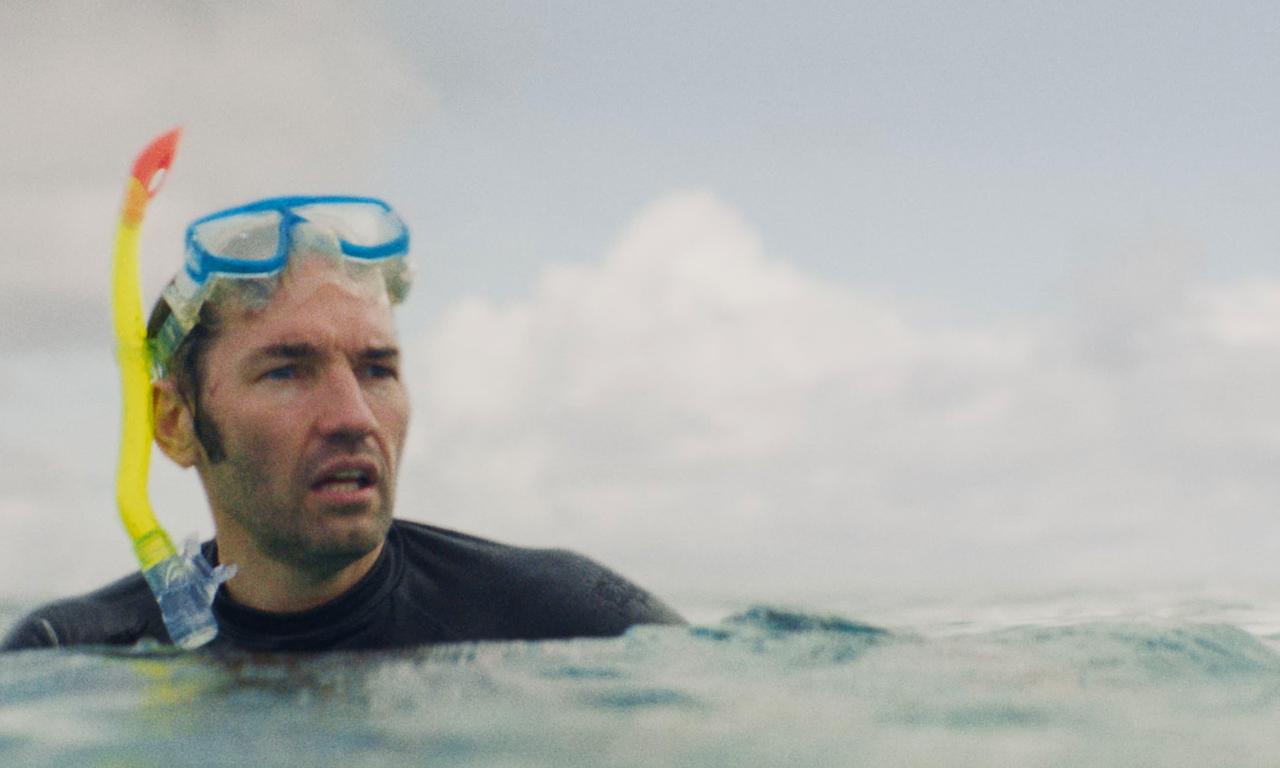 Shark - Where to Watch and Stream Online – Entertainment.ie