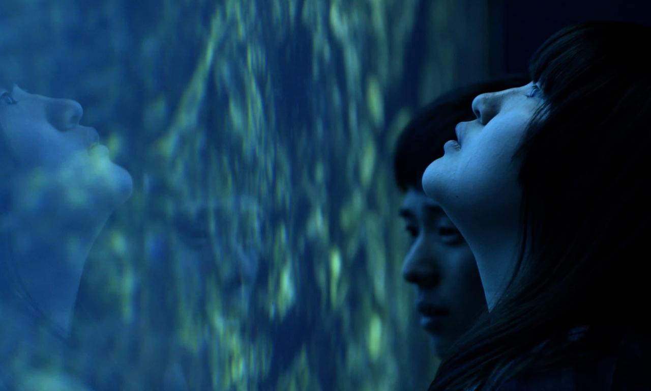 header image for All of Our Heartbeats Are Connected Through Exploding Stars