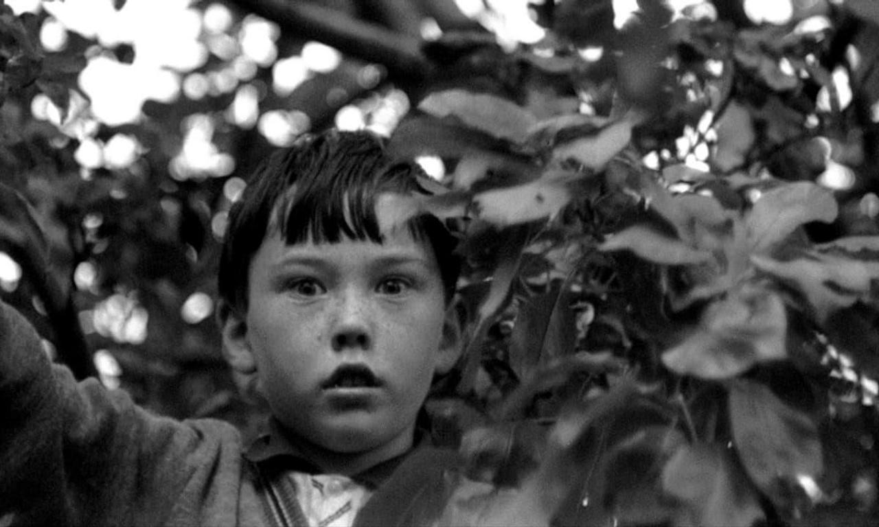 header image for Arcadia