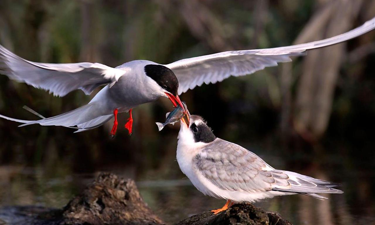 header image for Earth's Seasonal Secrets