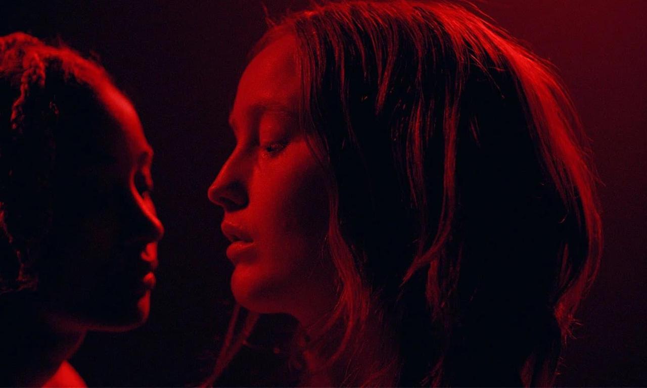 header image for My Animal