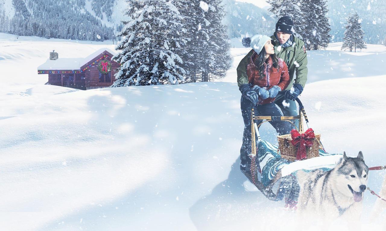 Christmas in the Wilds Where to Watch and Stream Online