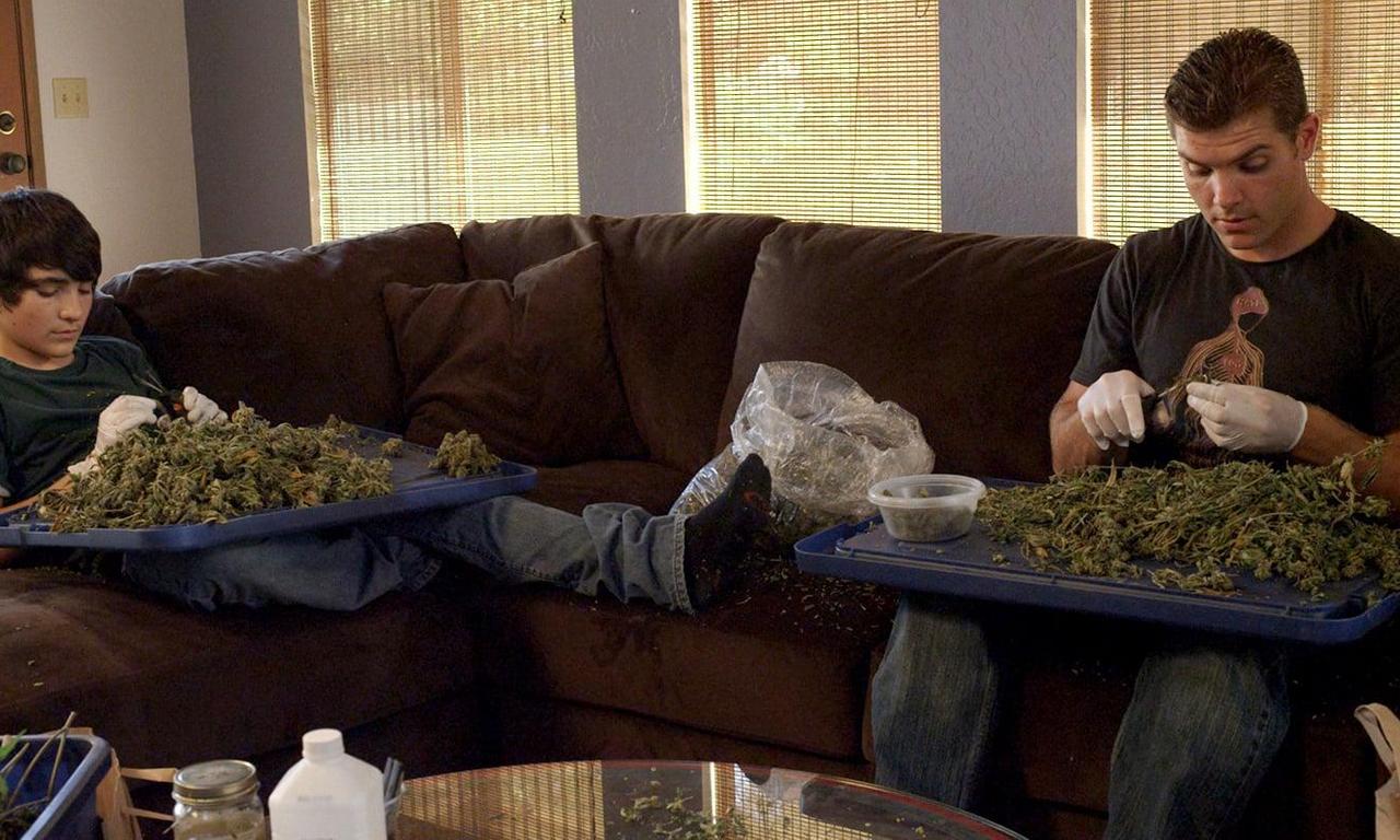 header image for Green Is Gold