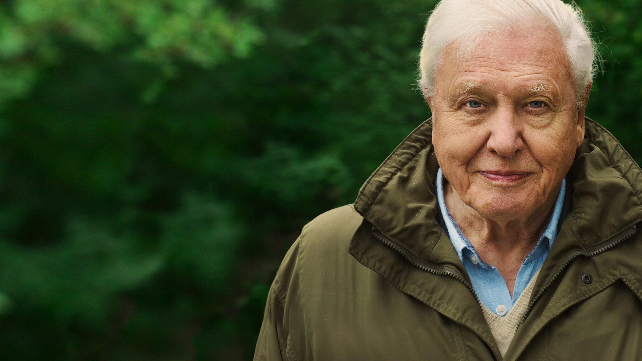 David Attenborough: A Life On Our Planet - Where To Watch And Stream ...