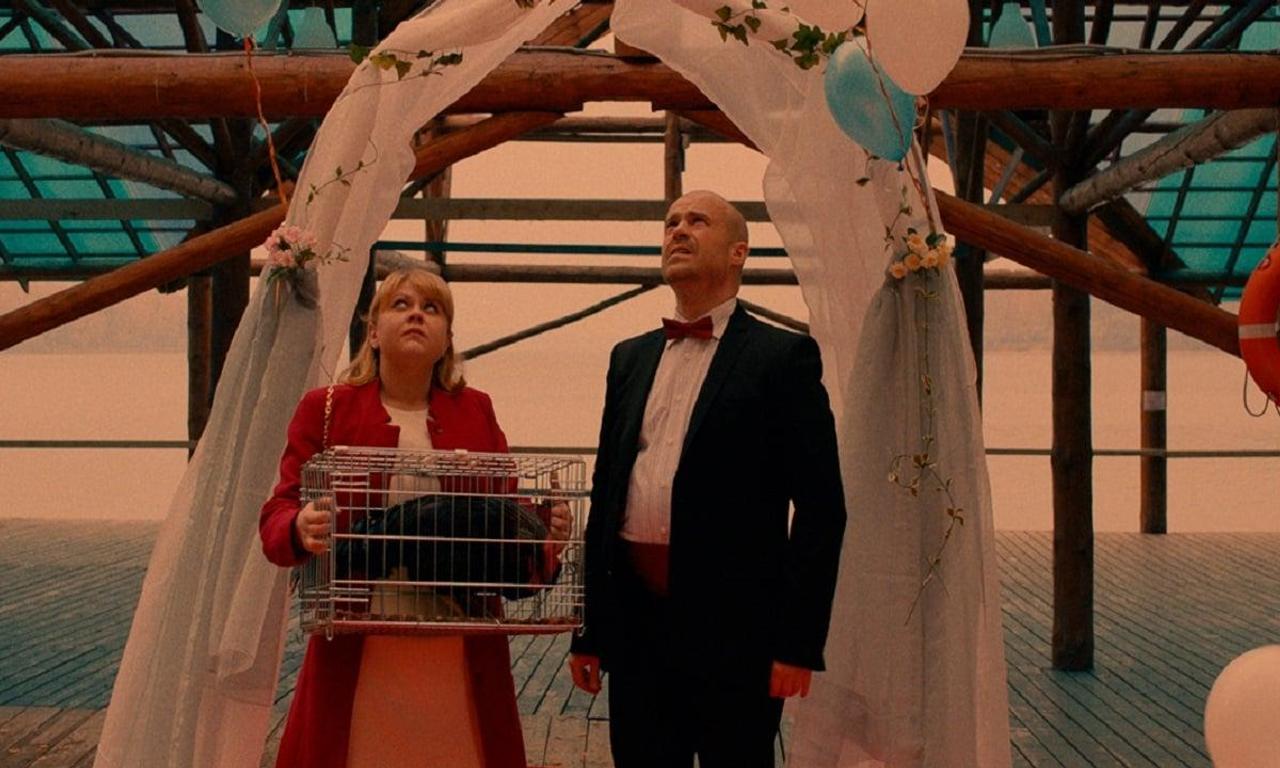 The Rooster Where to Watch and Stream Online Entertainment.ie