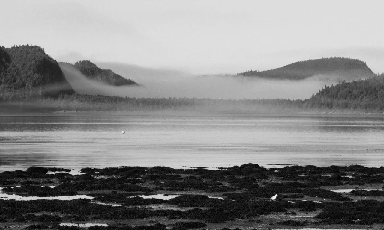 Les échos du moulin Where to Watch and Stream Online Entertainment.ie