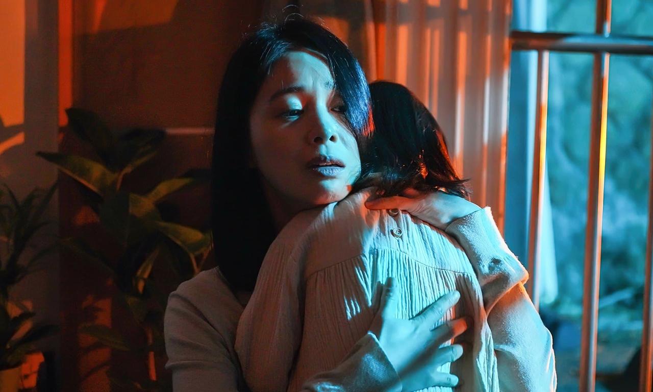 header image for Contorted