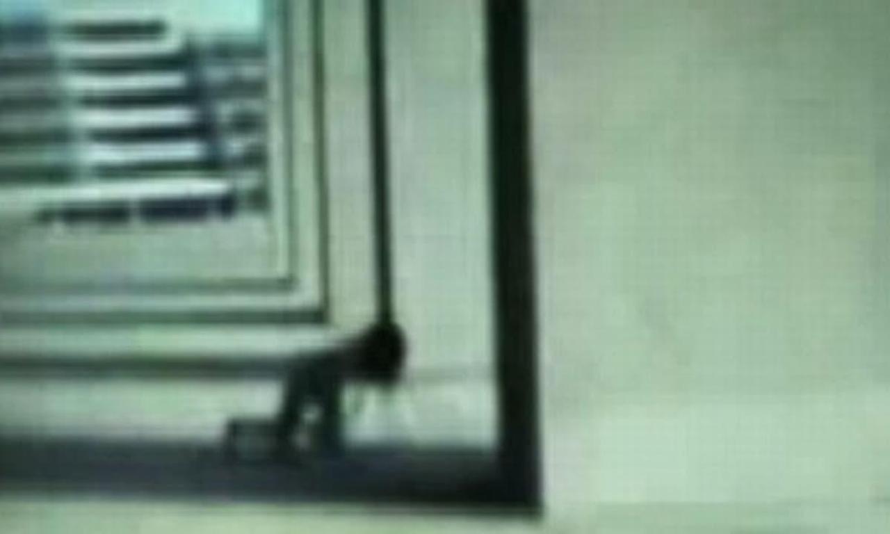 header image for Johnny Crawl