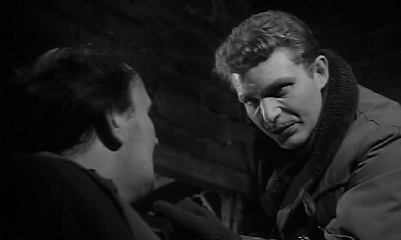 header image for The Informers