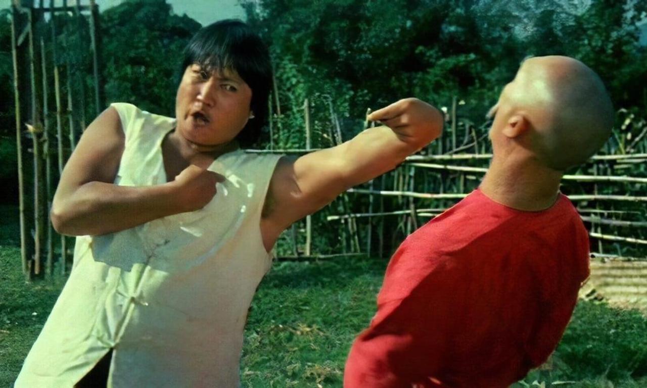 header image for The Incredible Kung Fu Master