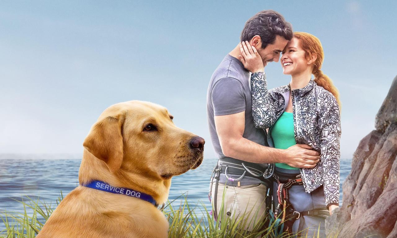 header image for Guiding Emily