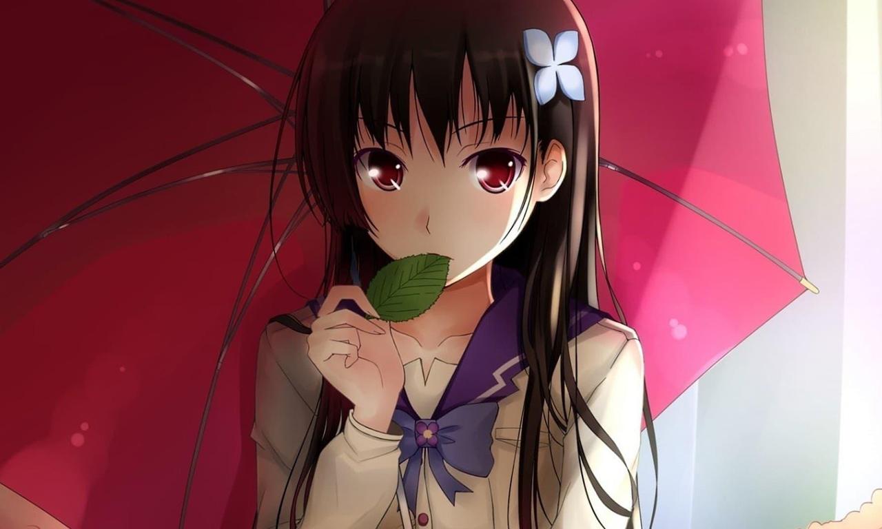 Sankarea: Undying Love - Where to Watch and Stream Online – Entertainment.ie